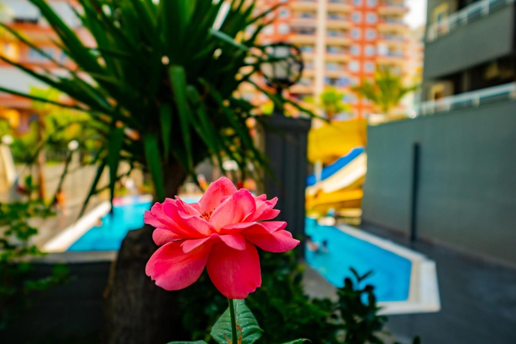 Senza Grand Santana Hotel Махмутлар Екстериор снимка